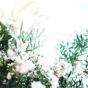 Immagine per 'あるいはその夏は'