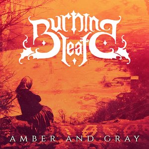 Image for 'Amber and Gray'