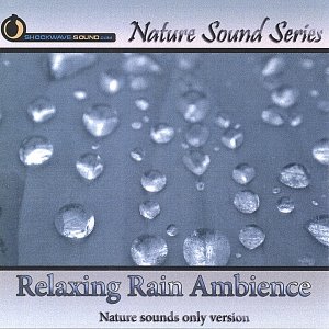 Bild für 'Relaxing Rain Ambience (Nature sounds only version)'