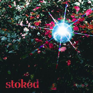 Image for 'Stoked'