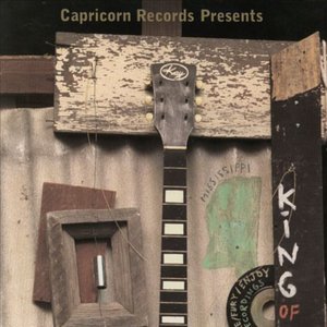 Bild für 'King Of The Slide Guitar: The Fire/Fury/Enjoy Recordings'