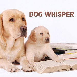 Image for 'Dog Whisper: Relaxation Music and Calming Music for Dog, Whisperer in Wildlife'