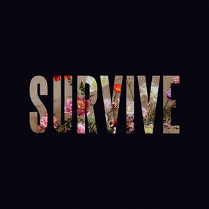 Imagem de 'Survive'