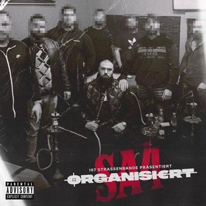 “Organisiert”的封面