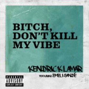“Bitch, Don't Kill My Vibe (Remix)”的封面