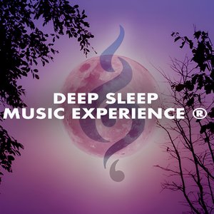 Immagine per 'Deep Sleep Music Experience'