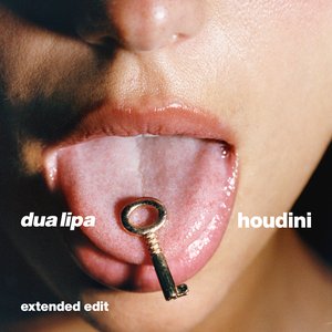 “Houdini (Extended Edit)”的封面