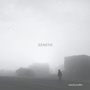Image for 'Zenith'
