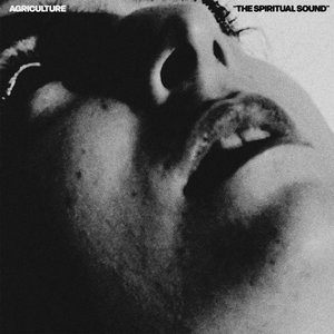 Image for 'The Spiritual Sound'