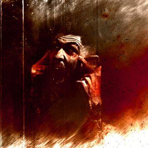 Image for 'Nylist'