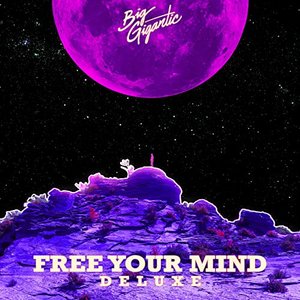 “Free Your Mind (Deluxe Version)”的封面