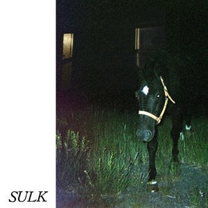 Image for 'Sulk'