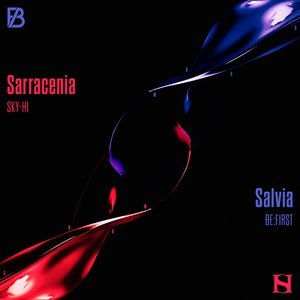 Image for 'Sarracenia / Salvia'