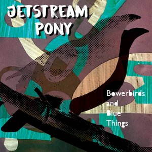Изображение для 'Bowerbirds and Blue Things'