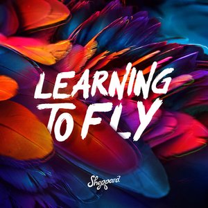 Image for 'Learning To Fly'
