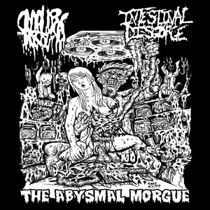 Image for 'The Abysmal Morgue'