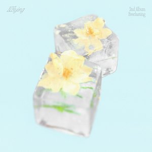 Image for 'Everlasting'