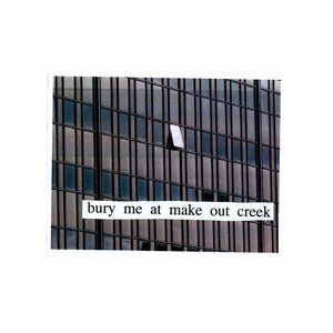 “Bury Me At Makeout Creek (Deluxe Edition)”的封面