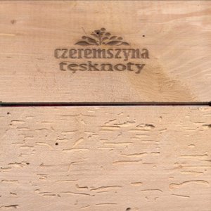 Imagen de 'Tęsknoty'