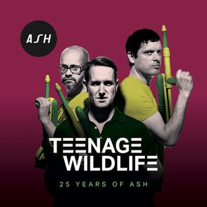 'Teenage Wildlife: 25 Years of Ash' için resim