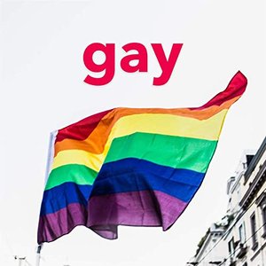 Image for 'Gay'