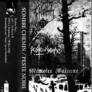 Image for 'Mémoire païenne'