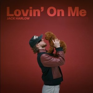 Bild für 'Lovin on Me'