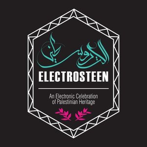 Image for 'Electrosteen'