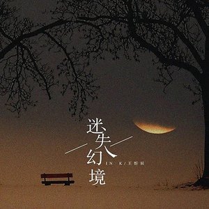 Image for '迷失幻境'