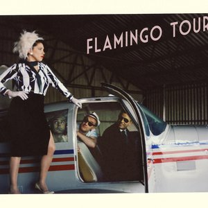 Image for 'Flamingo Tours'