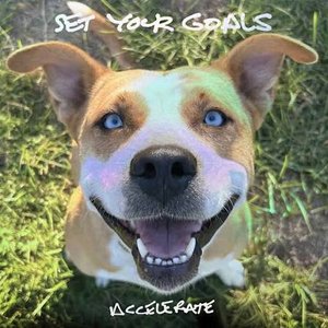 Image for 'Accelerate'