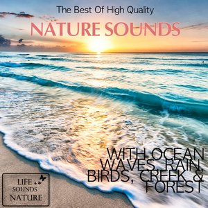 Image for 'The Very Best Sound Of Nature - Birds, Waves, Rain (With Forest, Creek, Wind, Thunder)'