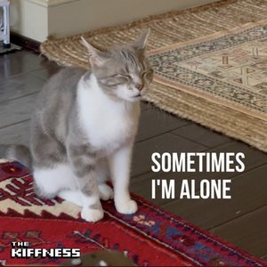 'Sometimes I'm Alone (Lonely Cat)' için resim