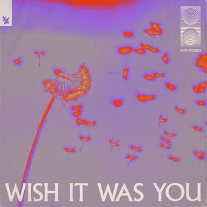 Image for 'Wish it was you'