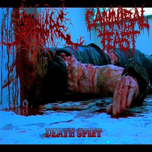 Image for 'Death Split'