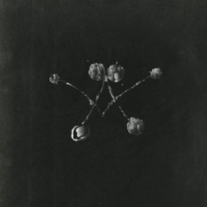 Bild für 'Nowhere Now (Bonus Track Version)'