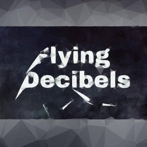 Image for 'Flying Decibels'