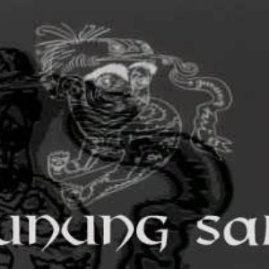 Image for 'Gunung Sari'