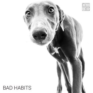 Imagen de 'Bad Habits'