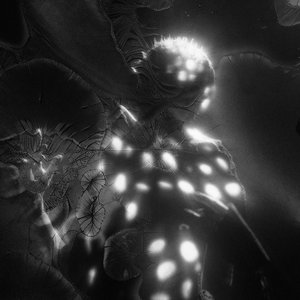 Image for 'Noise'