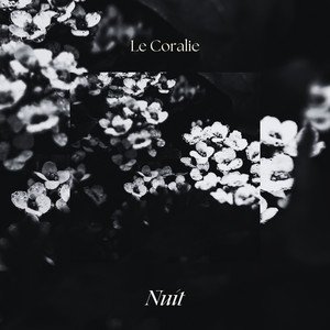 Image for 'Nuit'
