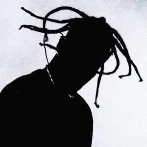 Image pour 'Travi$ Scott'
