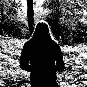 Image for 'Firienholt'