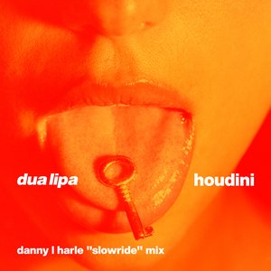 Imagen de 'Houdini (Danny L Harle Slowride Mix)'