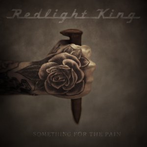 “Something For The Pain”的封面