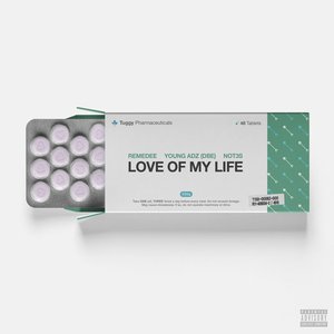 Image for 'Love of My Life (feat. Not3s & Young Adz)'