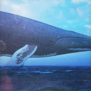 Fishes, Pt. I - Single