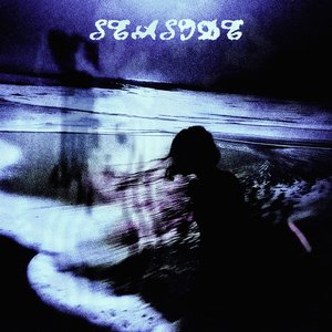 “seaside”的封面