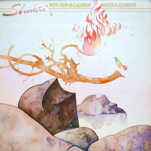 Image for 'Natural Elements'