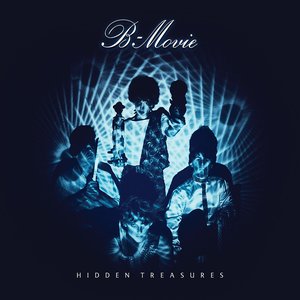 “Hidden Treasures”的封面